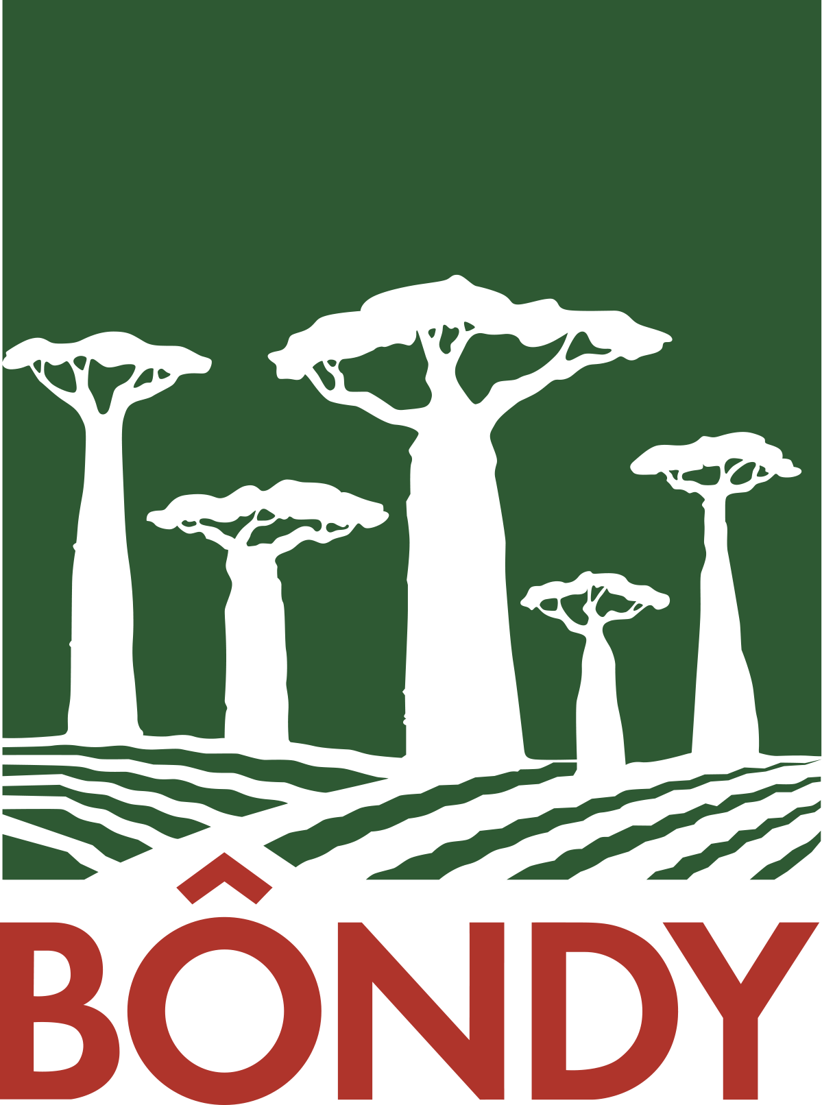 Logo Bôndy International